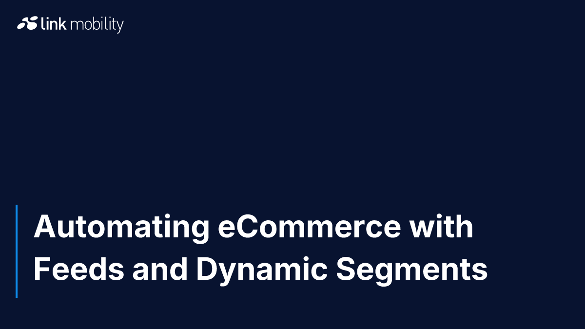 Automating eCommerce with Feeds and Dynamic Segments