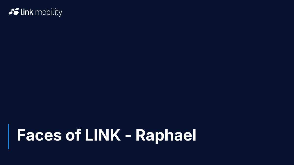 Faces of LINK - Raphael 