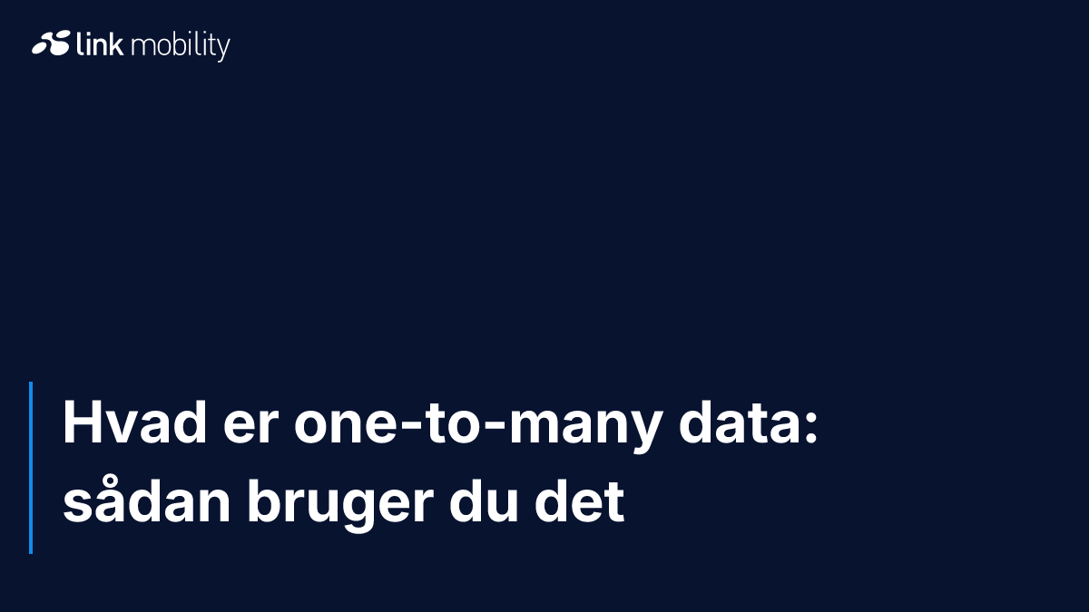 Hvad er one-to-many data: sådan bruger du det