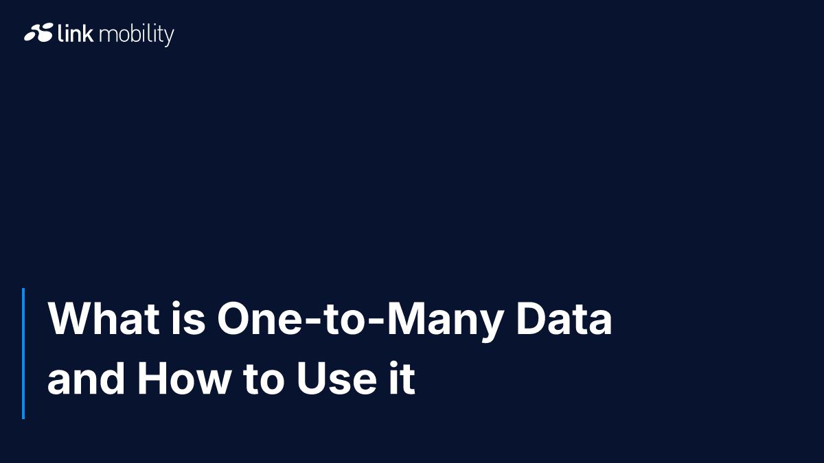 What is One-to-Many Data and How to Use it