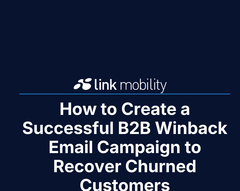 How to Create a Successful B2B Winback Email Campaign to Recover ...