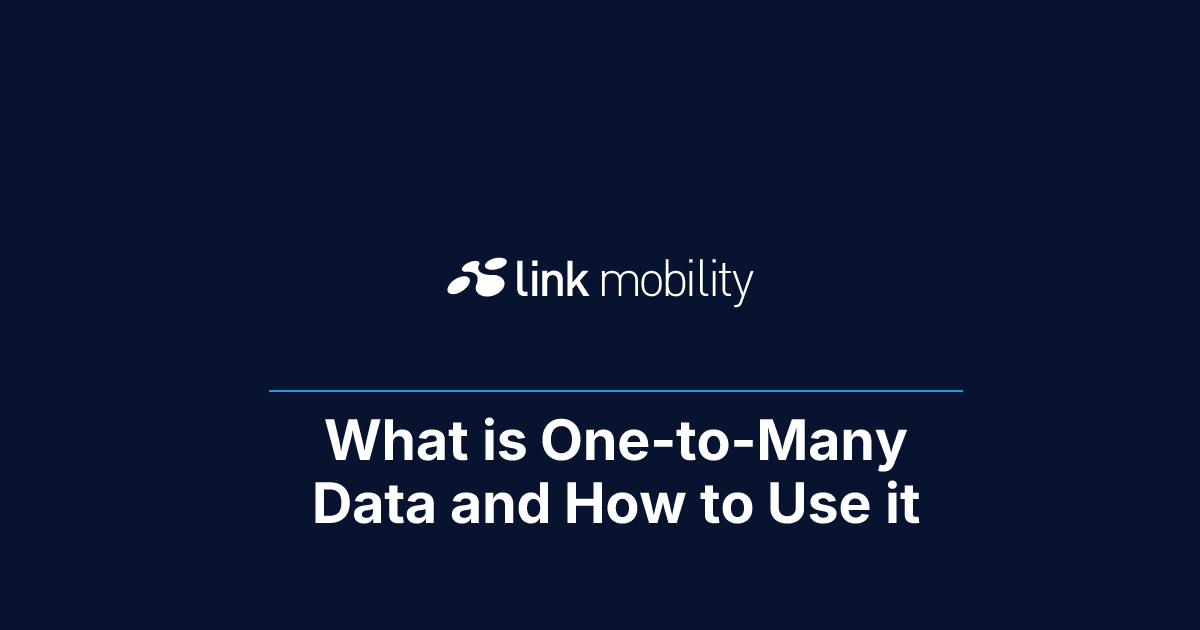 What is One-to-Many Data and How to Use it